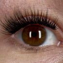 STARTER KIT - Grappes effet Wispy